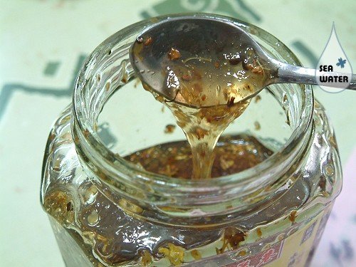 «ö¦¹¦b·sµøµ¡ÂsÄý¹Ï¤ù