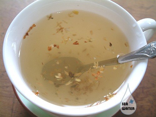 «ö¦¹¦b·sµøµ¡ÂsÄý¹Ï¤ù