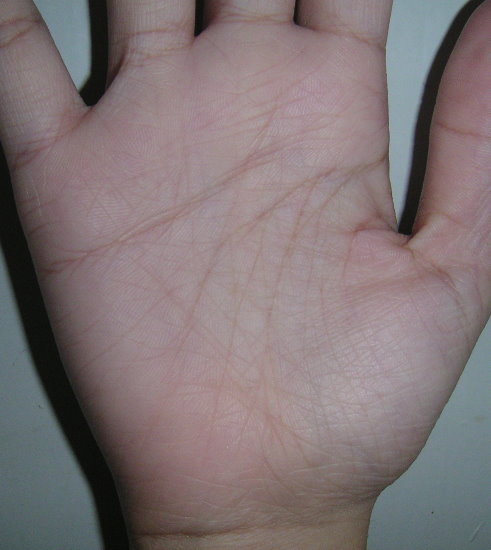 «ö¦¹¦b·sµøµ¡ÂsÄý¹Ï¤ù